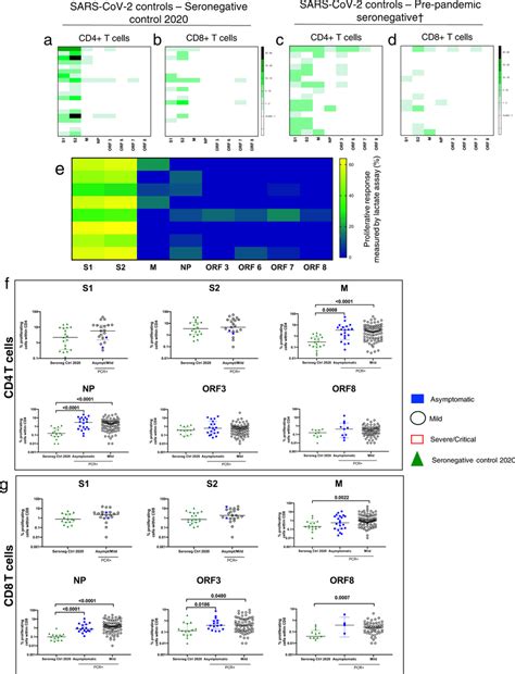 Cross Reactive T Cell Response In Seronegative Controls From And