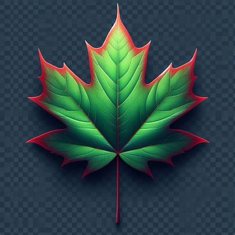 Premium Photo A Green Maple Leaf With A Red Outline Of The Leaf