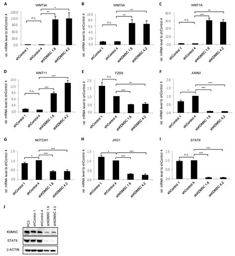 Cancers Free Full Text Histone Demethylase Kdm5c Drives Prostate