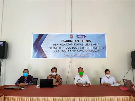 Peningkatan Kapabilitas Apip Daerah Integrated Consulting Aplication