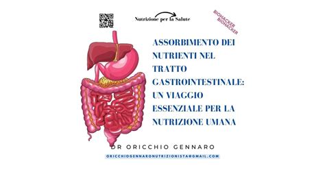 ASSORBIMENTO DEI NUTRIENTI NEL TRATTO GASTROINTESTINALE UN VIAGGIO