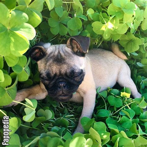 Wendy Alcala Nude Leaks Photo 4881156 Fapopedia