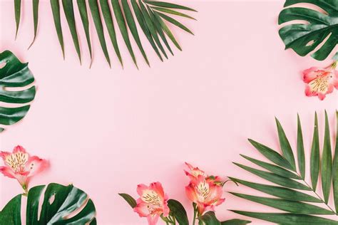 Aesthetic Palm Leaves Wallpapers - Top Free Aesthetic Palm Leaves Backgrounds - WallpaperAccess