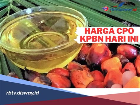 Kembali Menguat Segini Harga Cpo Kpbn Per Hari Ini September