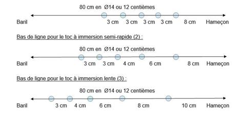 Pêche de la truite au toc variez les plaisirs jusqu en juillet