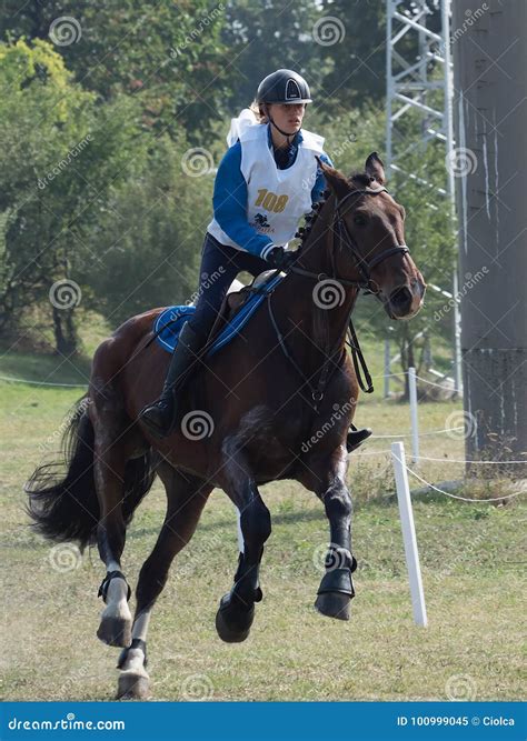 horse rider competing   cross country event editorial image
