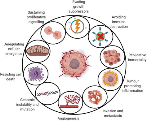 The Effects Of Localized Heat On The Hallmarks Of Cancer Hannon