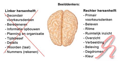 Ik Leer Anders Hersenen