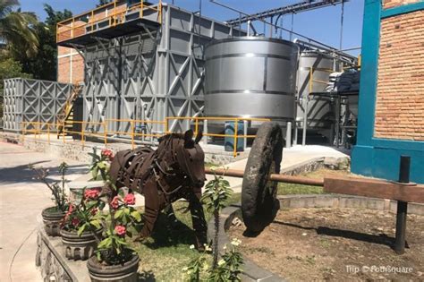 Recorridos En Destiler As De La Ruta Del Tequila Jalisco