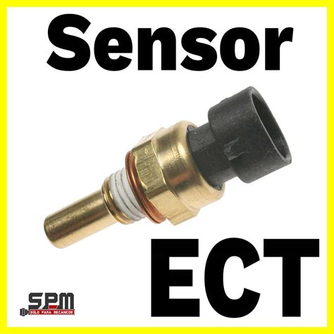 Sensor ECT Temperatura Refrigerante Motor Solo para Mecánicos