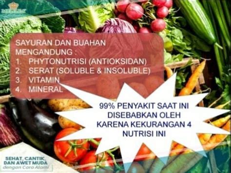 Bahan Sayuran Yang Mengandung Antioksidan Resep Masakan Nusantara