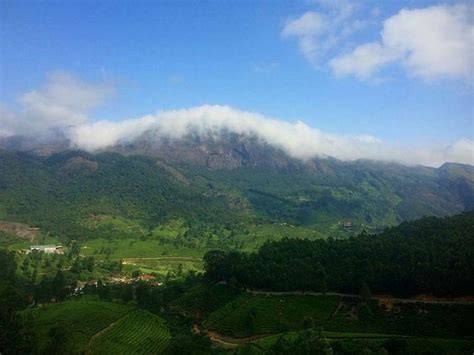 Chokramudi Peak Trekking Best Time To Visit And Instructions Munnar