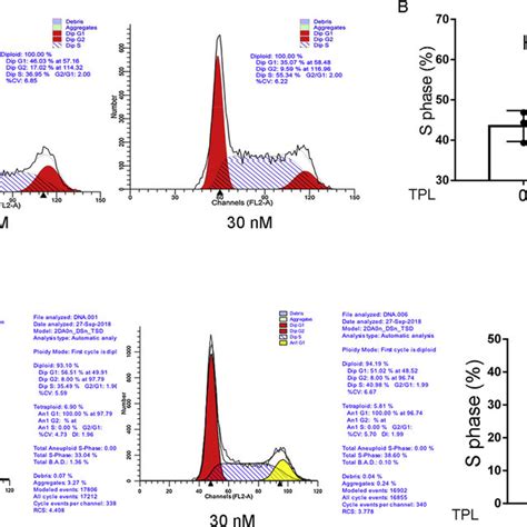 Triptolide Arrests MDA MB 231 Cells In The Cell Cycle Intra S Phase