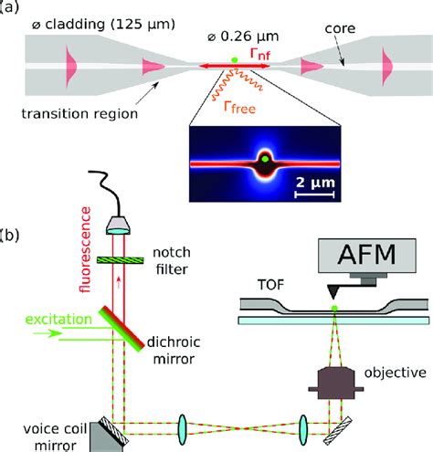 A Schematic Of Evanescent Coupling Of Single Photons Emitted By A