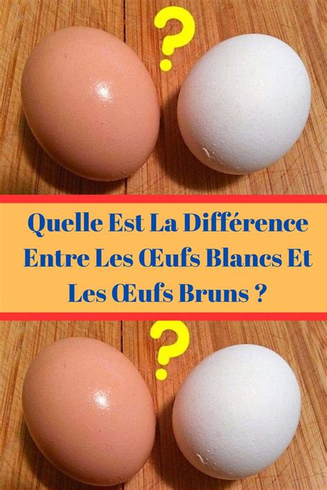 Quelle Est La Diff Rence Entre Les Ufs Blancs Et Les Ufs Bruns