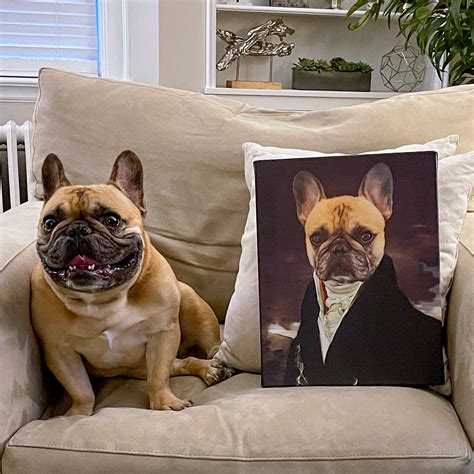 The Count Pet Portrait Canvas Print Canvasworld