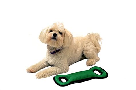 Nfl Football Field Dog Toy With Squeaker Detroit Lions For Tug