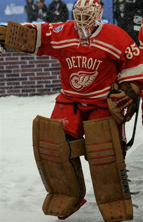 Pin By Elaine Lutty On Goalies Masked Marvels Detroit Red Wings