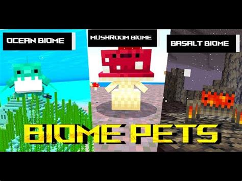 Minecraft But I Collected ALL BIOME PETS YouTube