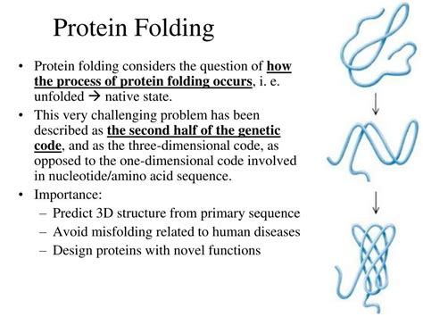 PPT - Protein Folding & Biospectroscopy Lecture 4 PowerPoint Presentation - ID:1785050