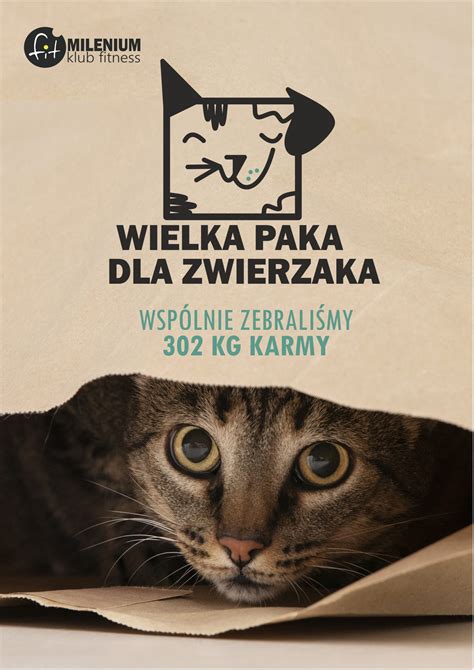 WIELKA PAKA DLA ZWIERZAKA EDYCJA 11 PODSUMOWANIE MILENIUM Klub