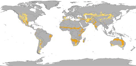 Climate Types for Kids | Semi-Arid Climate