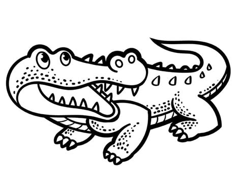 Desenhos De Crocodilo Para Colorir Pintar E Imprimir ColorirOnline