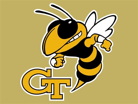 Jackets Yellow Jacket Bee Georgia Tech Football Ncaa Football