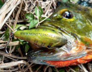 Summer Time Peacock Bass Fishing Lures – Monster Mike Fishing