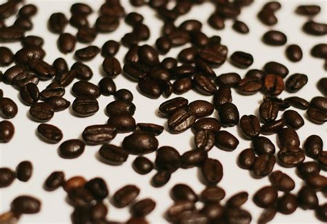 Free Images Morning Dark Coffee Bean Roast Aroma Cup Cappuccino Food Produce Brown