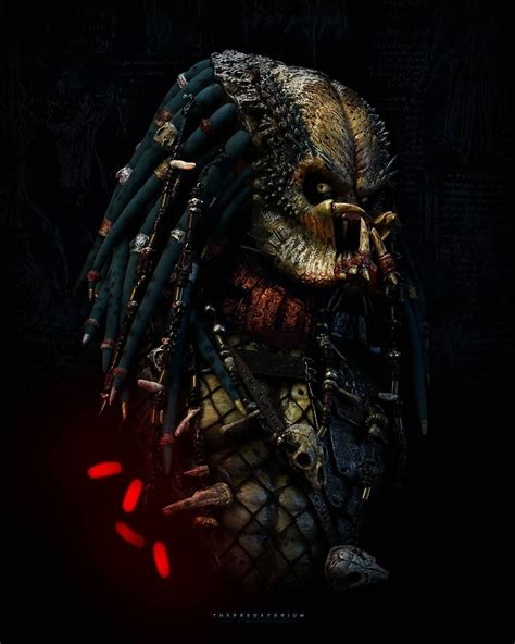 Predator Clans List Of Every Yautja Tribe And Clan Artofit