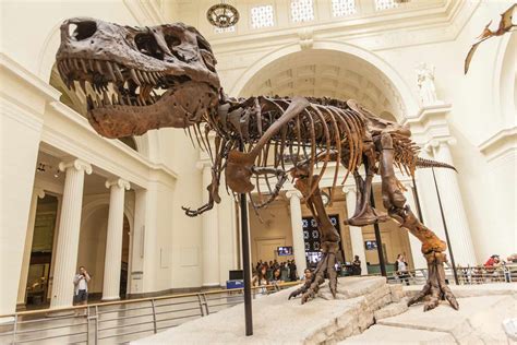 Mesozoic Era The Geologic Time Scale