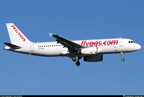 Ly Mlg Pegasus Airbus A Photo By Jost Gruchel Id