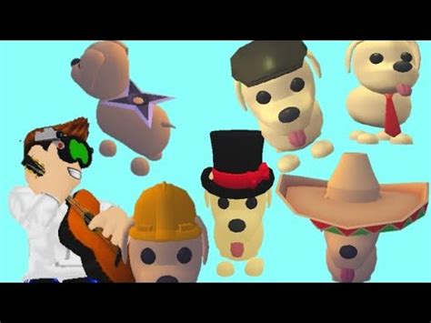 New Pet Accessories #2 in Adopt me on ROBLOX Pet Accessories #2 : u/ninjaduece