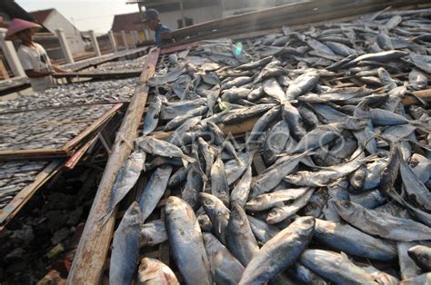 KESULITAN BAHAN BAKU IKAN ASIN ANTARA Foto