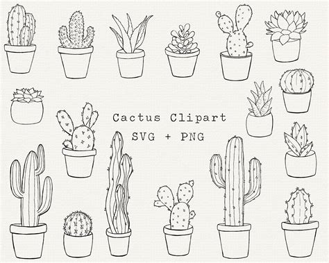 Cactus Svg Bundle Cacti And Succulents Clipart Houseplants Etsy Singapore