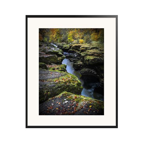 The Strid Bolton Abbey Strid Woods River Wharfe North - Etsy