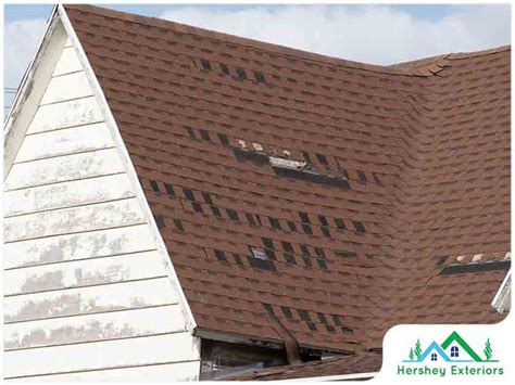 Debunking Myths Surrounding Wind Damage On Asphalt Shingles