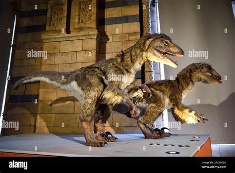 United Kingdom London Kensington Natural History Museum Animated