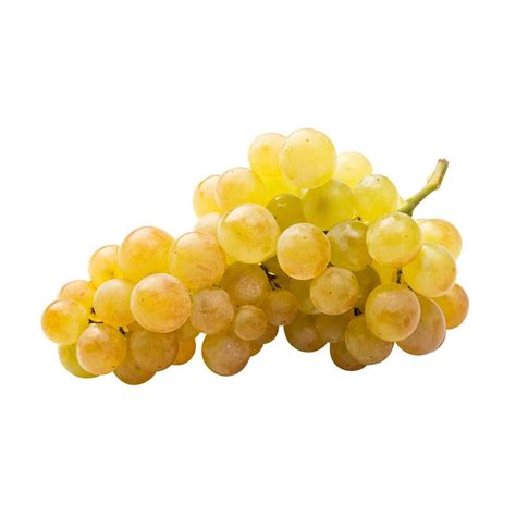 Raisins Blanc Chasselas Le Kg