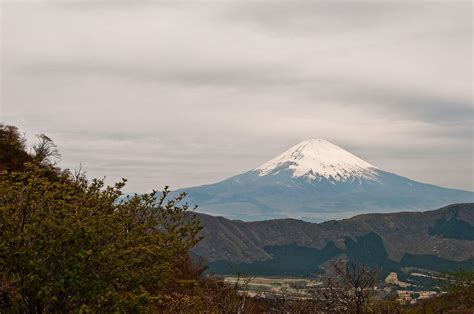 Hiking in Hakone | Travel Guide 2023 | Kyuhoshi