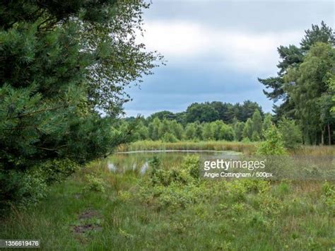 Selby Lake Photos And Premium High Res Pictures Getty Images