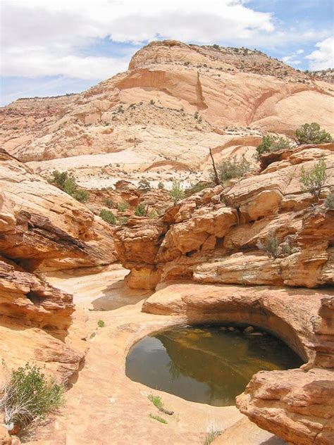 A Guide To The Best Capitol Reef National Parks For First Time Visitors