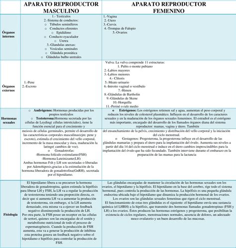 Cuadros Comparativos Aparato Reproductor Masculino Y Femenino