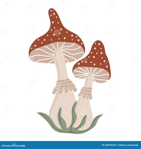 Amanita Muscaria Hand Drawn Mushroom Stock Vector Illustration Of Color October 284859346