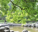 China S Gay Group Finds A Public Place To Call Home Gay English