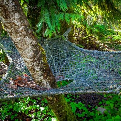 Spend a Night at TreeHouse Point, Washington