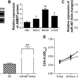 Overexpression Of Mir Promoted Osteosarcoma Cell Apoptosis Notes