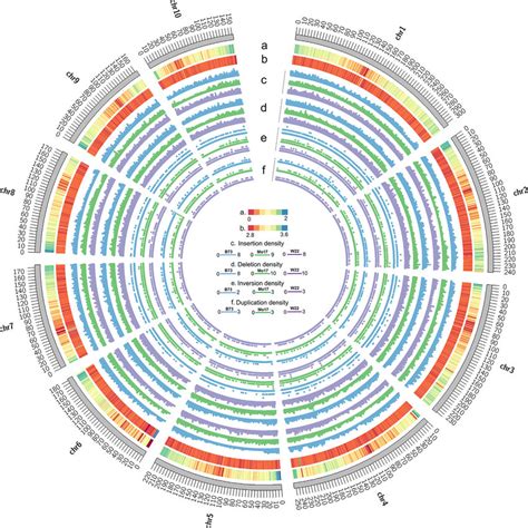 Genomic Landscape Of The Rp Genome Tracks Outer To Inner Circles