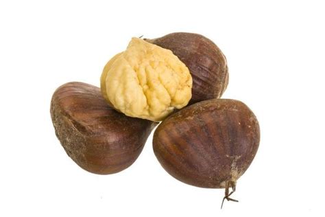 Chestnut Logo Stock Photos Images And Backgrounds For Free Download